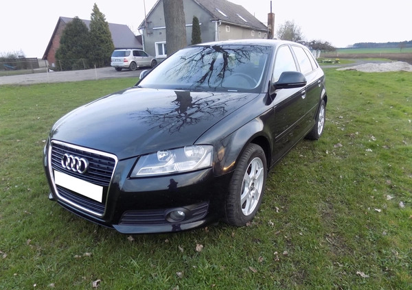 Audi A3 cena 26900 przebieg: 164000, rok produkcji 2010 z Szprotawa małe 407